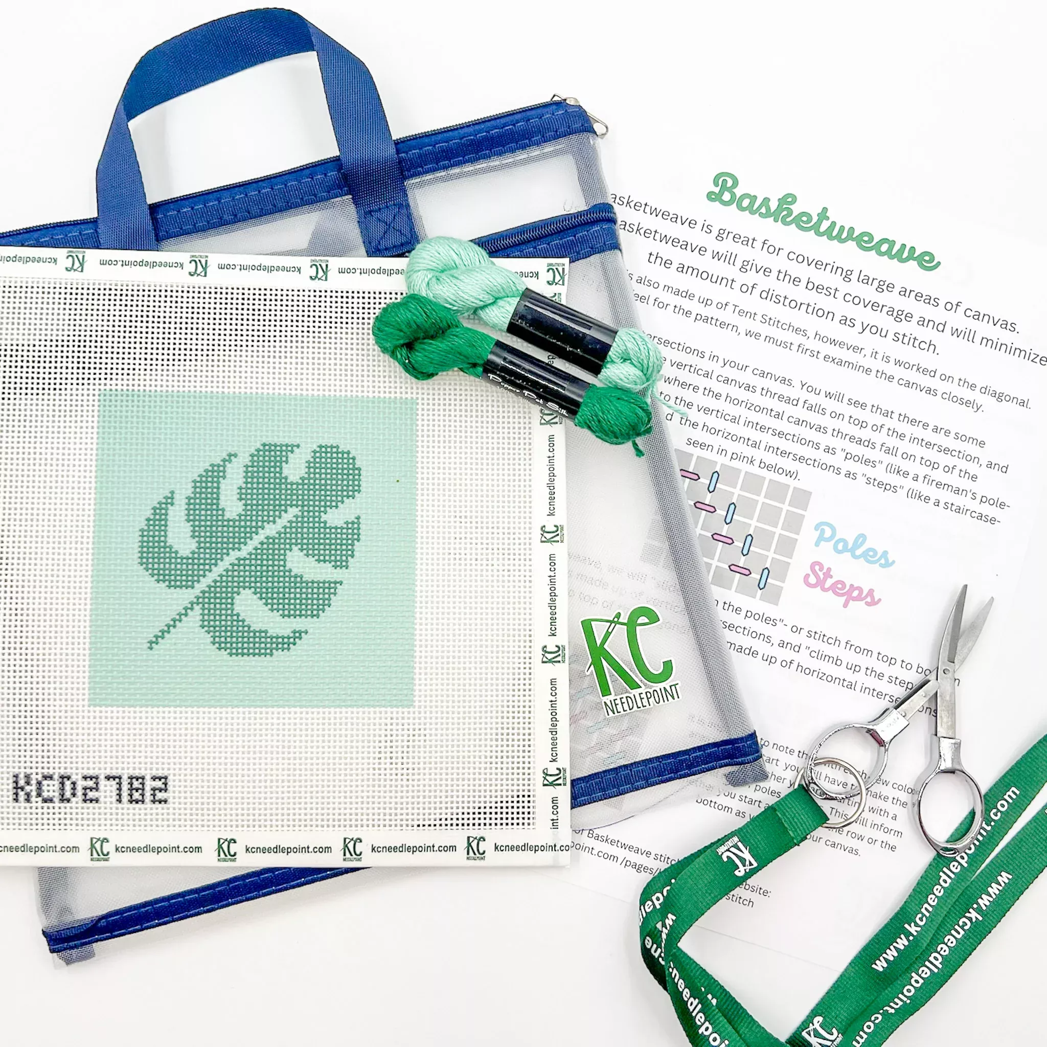 The Beginner Monstera Leaf Kit