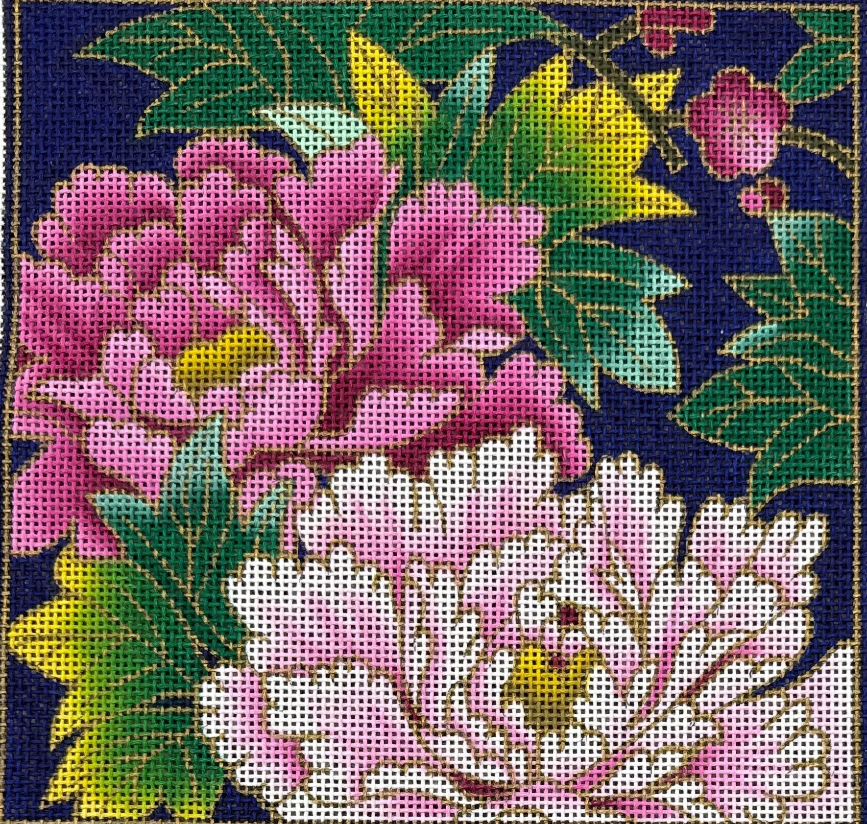 Pink Chrysanthemum