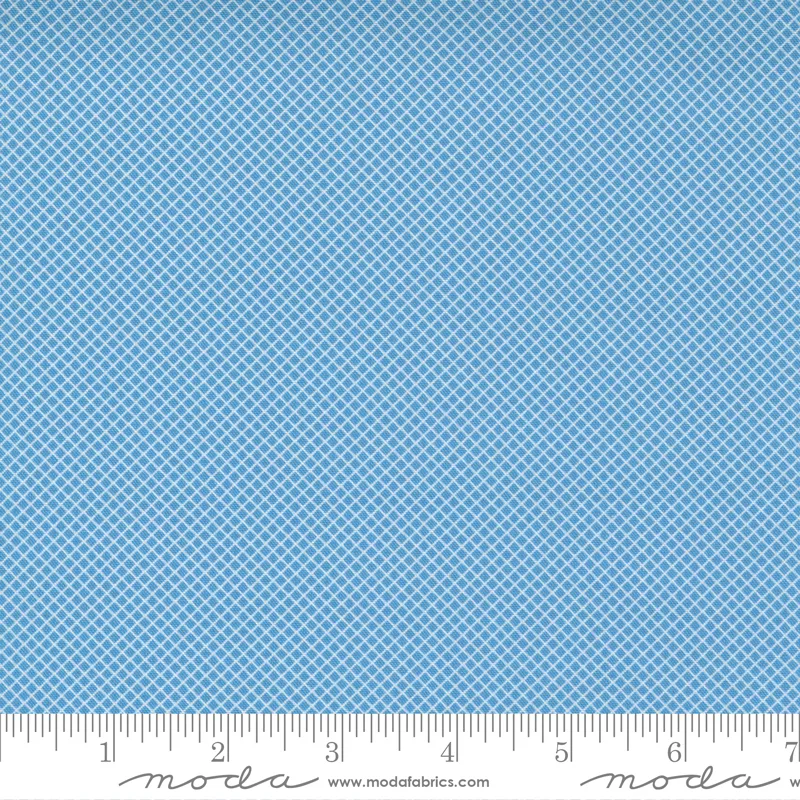 Story Time : Blue Micro Lattice - #21796-17 - American Jane