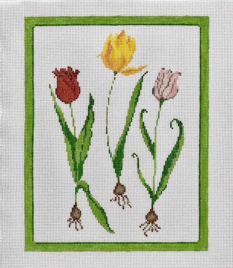 Three Tulips Canvas