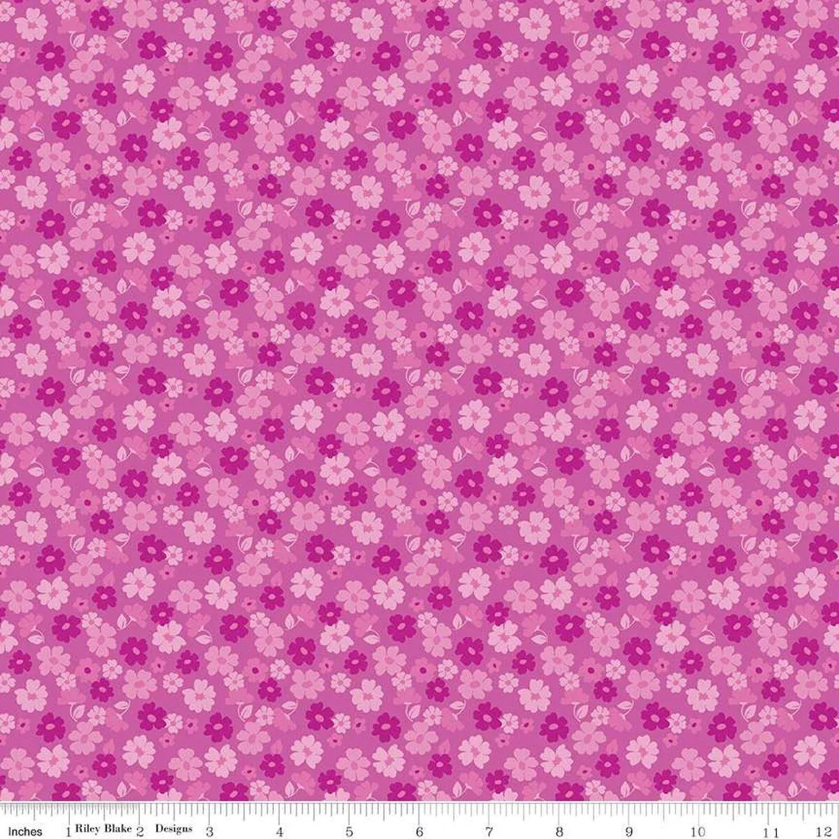 Zinnias - Tossed Flowers Purple | C16695-PURPLE